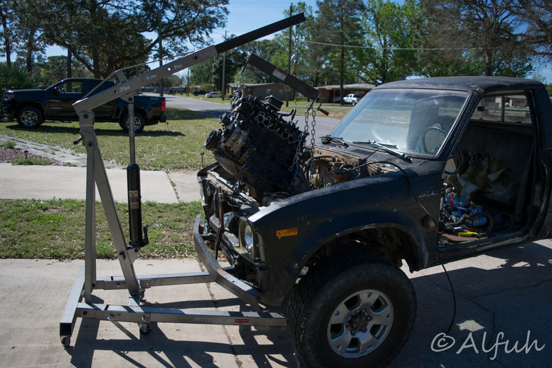 DSC_0262.jpg