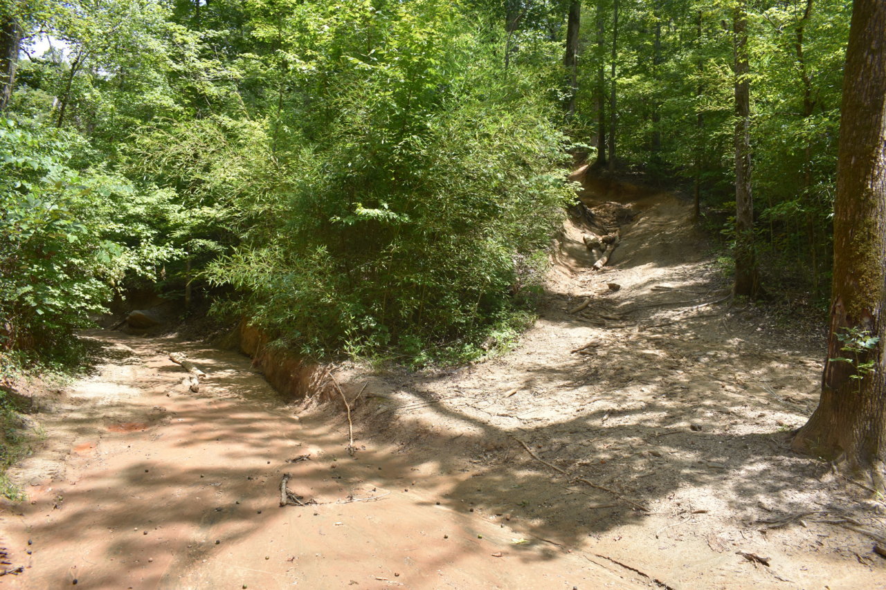DSC_0263.jpg