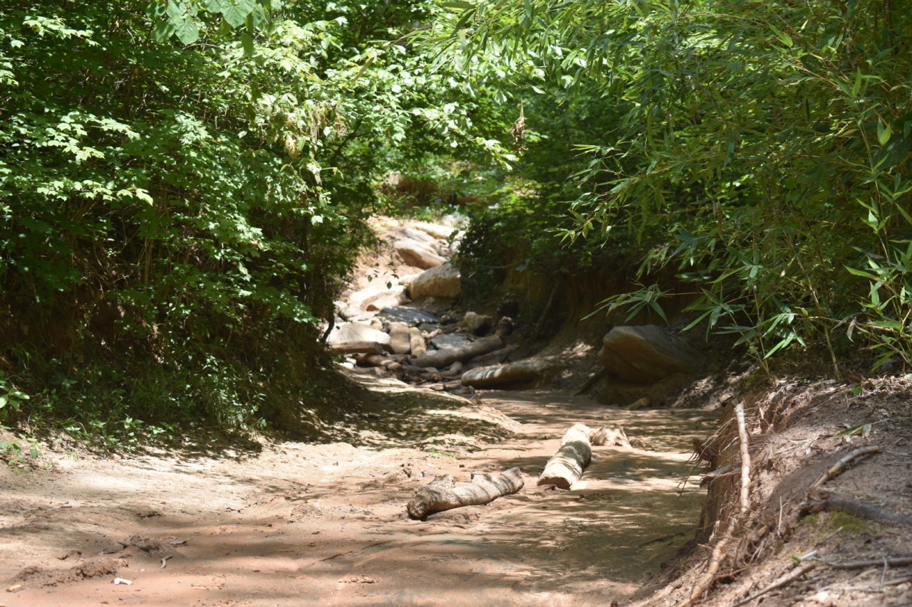 DSC_0264.jpg