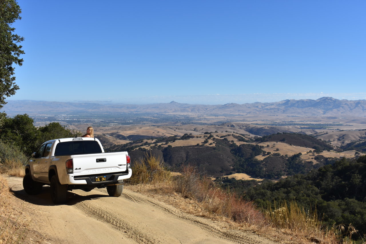 DSC_0264.jpg