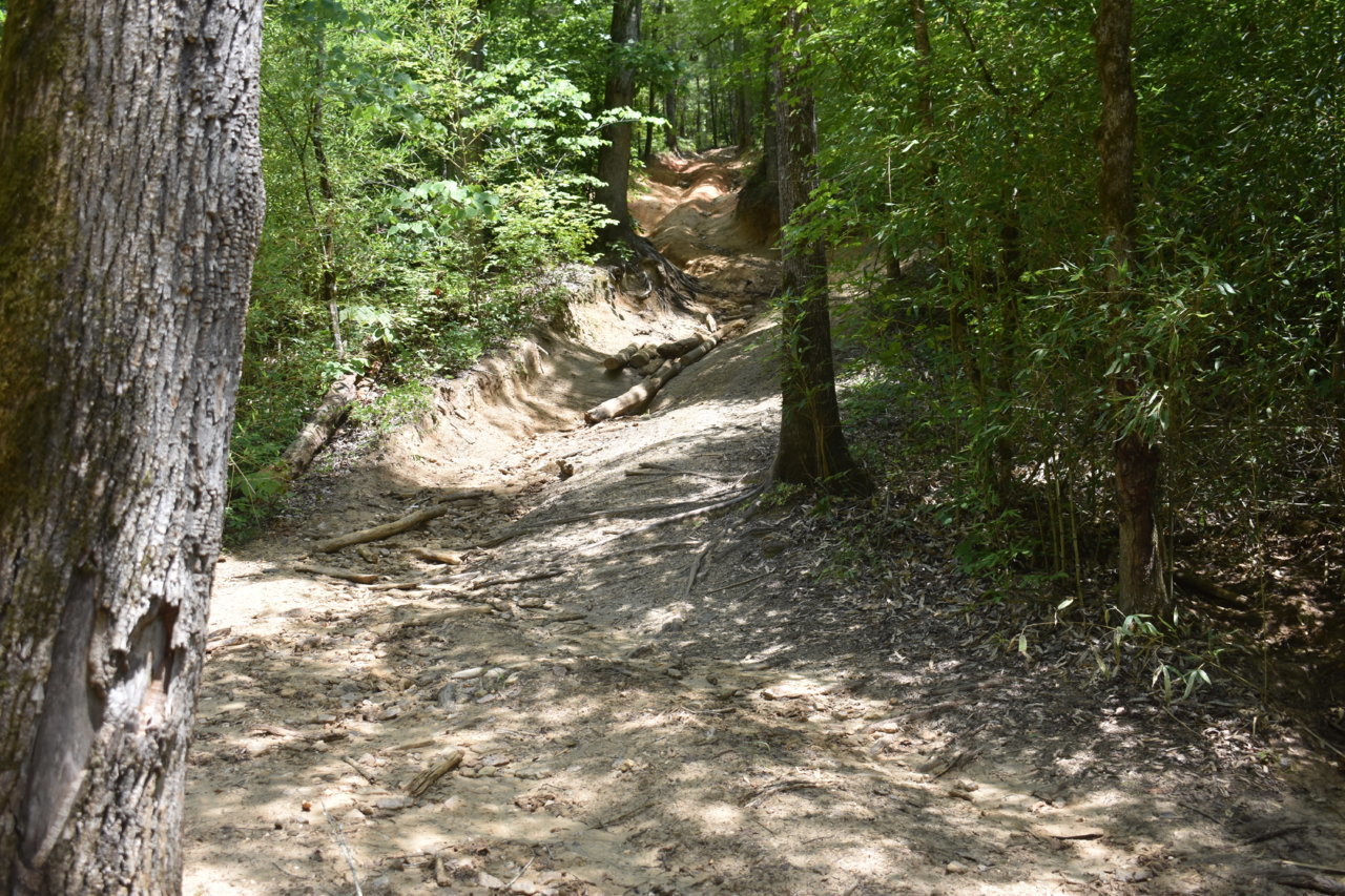 DSC_0266.jpg