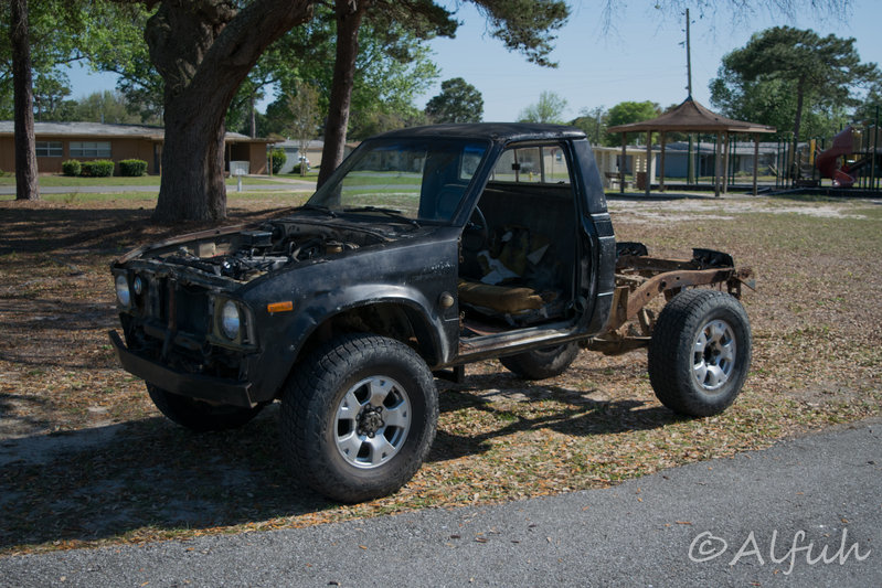 DSC_0266.jpg