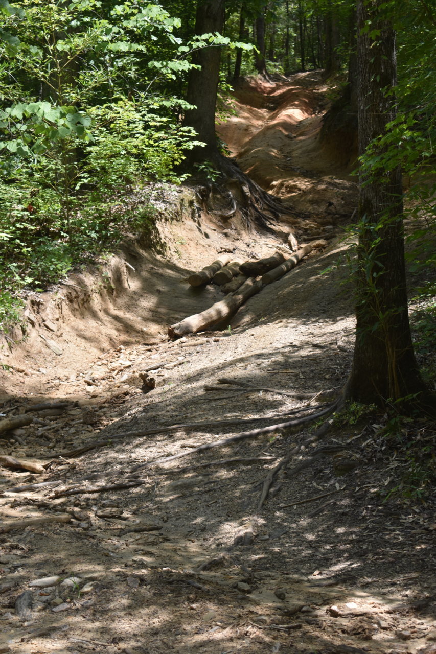 DSC_0267.jpg