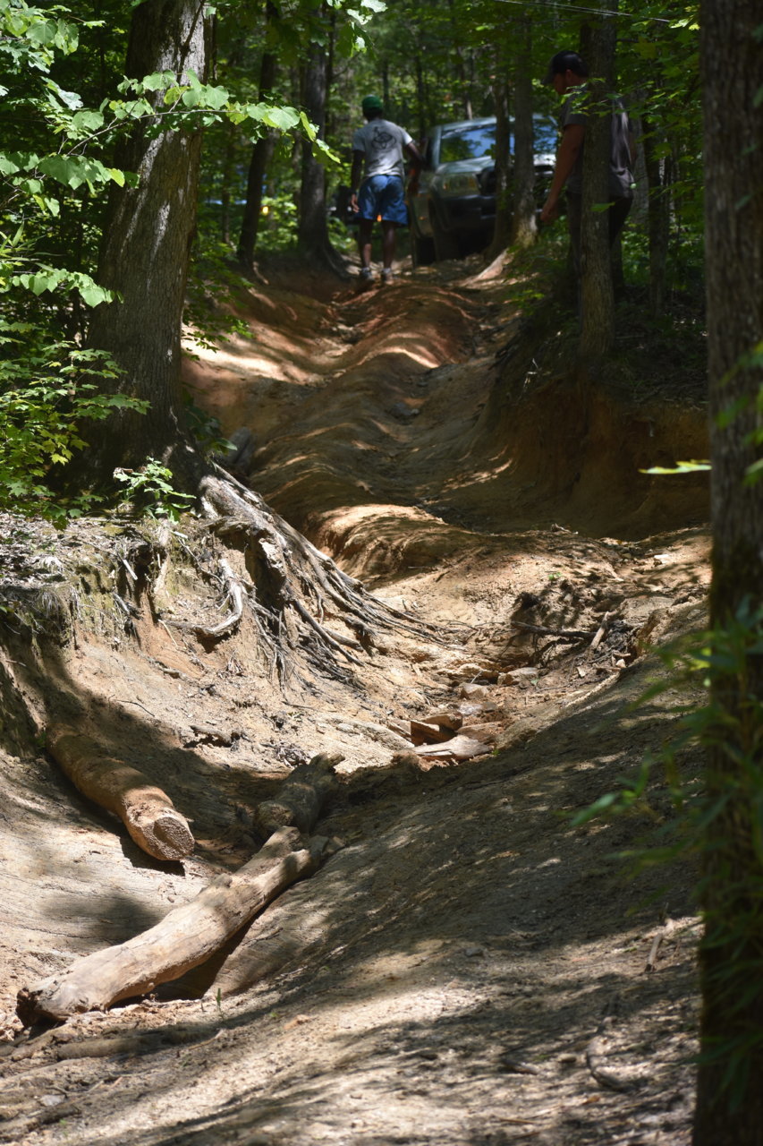 DSC_0273.jpg