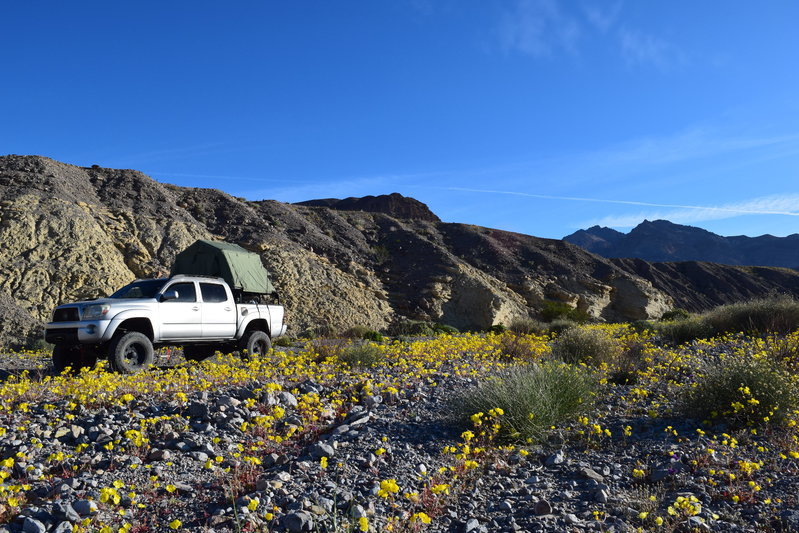 DSC_0274.jpg
