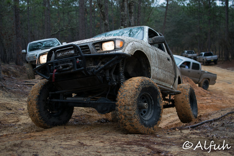 DSC_0274.jpg