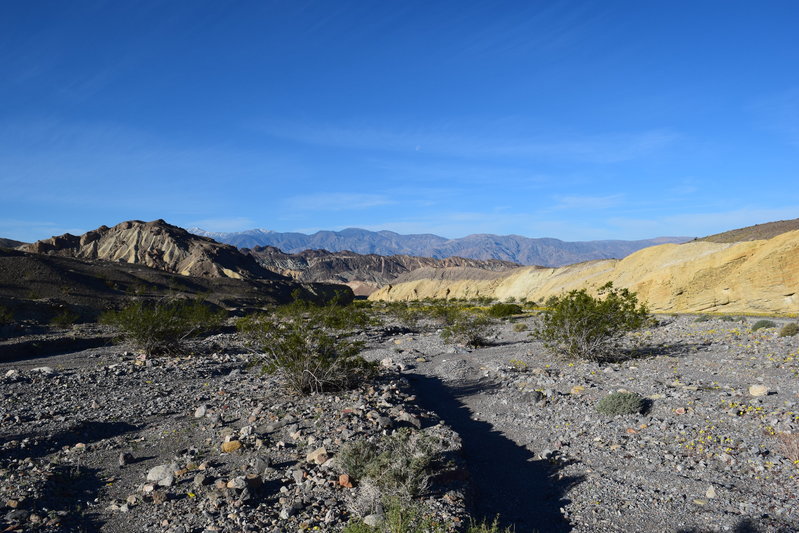 DSC_0275.jpg