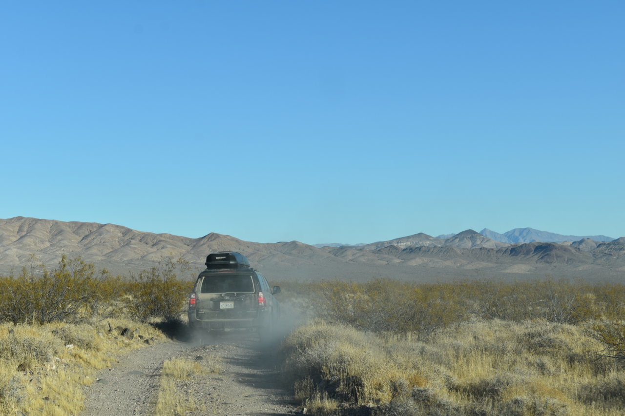 DSC_0275.jpg