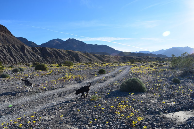 DSC_0276.jpg