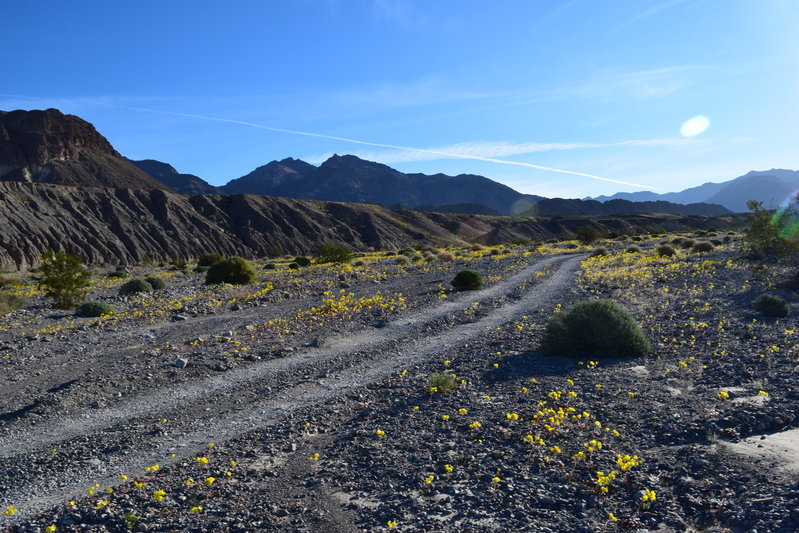 DSC_0277.jpg