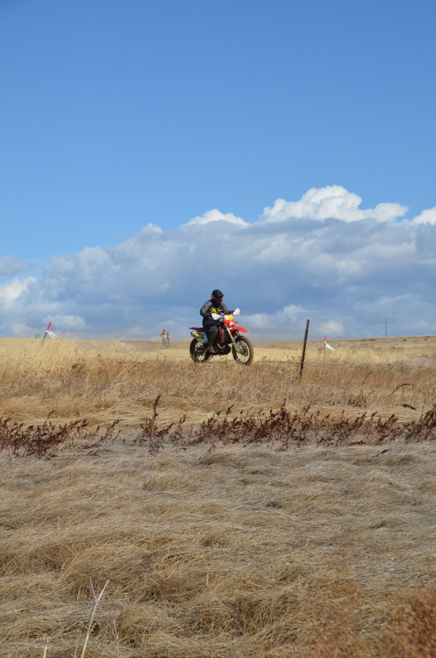 DSC_0277.jpg