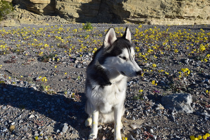 DSC_0279.jpg