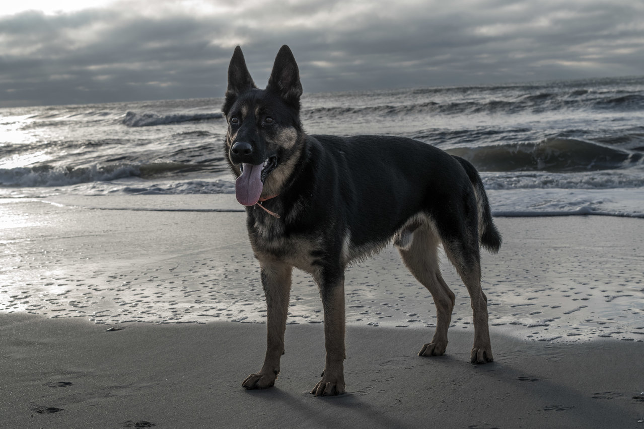 DSC_0279.jpg
