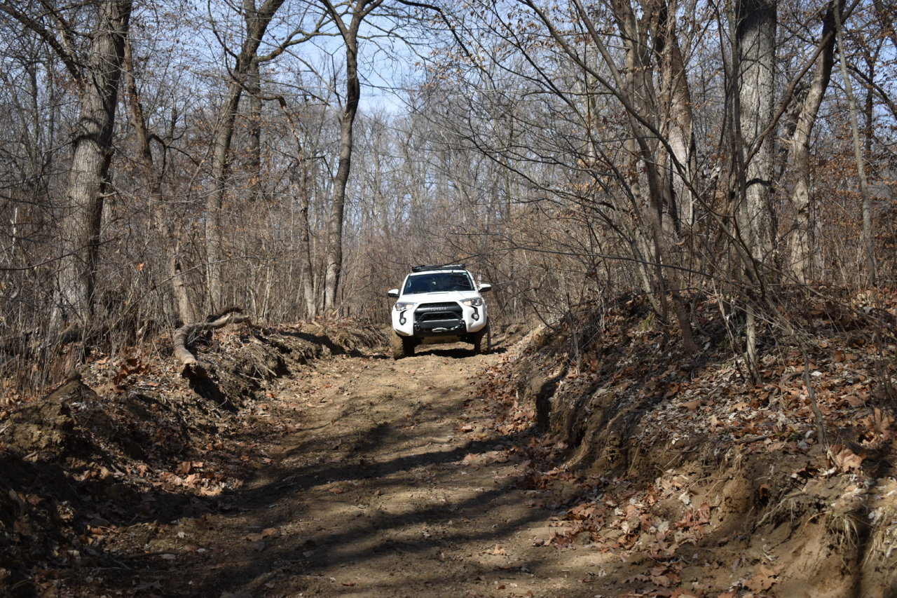 DSC_0279.jpg