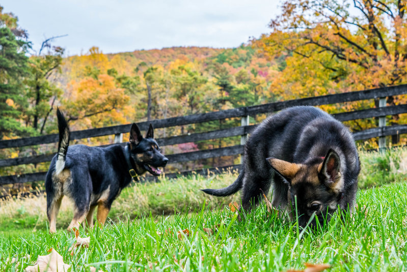 DSC_0280-14.jpg