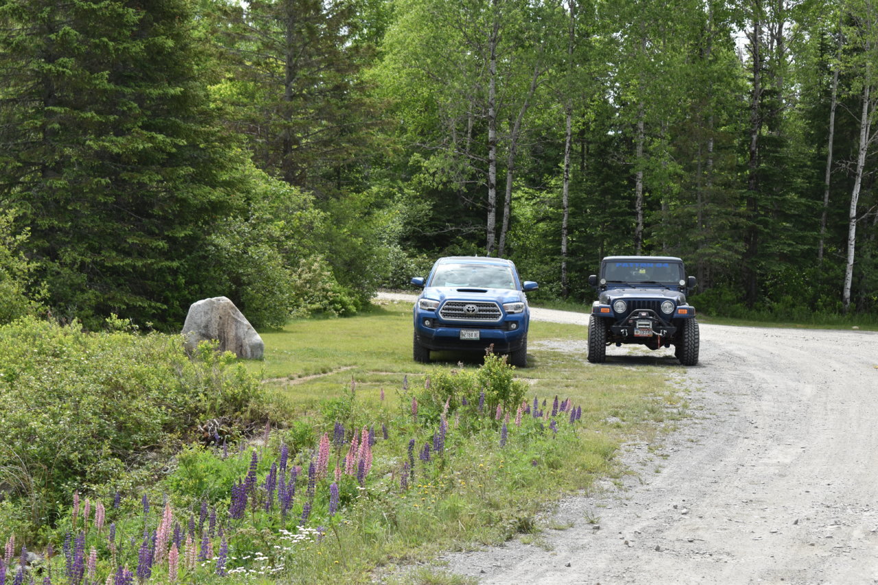 DSC_0280.jpg