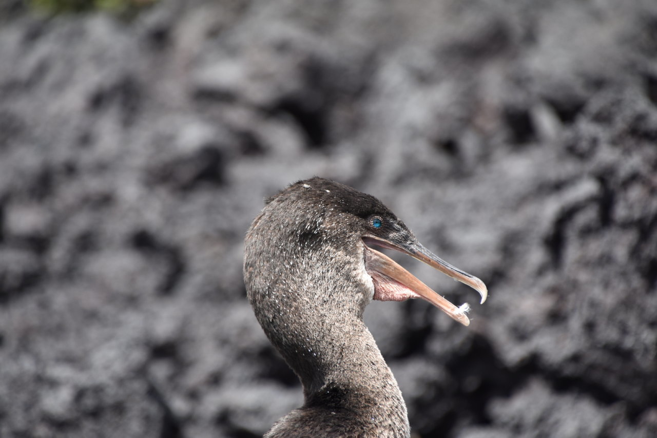 DSC_0281.jpg
