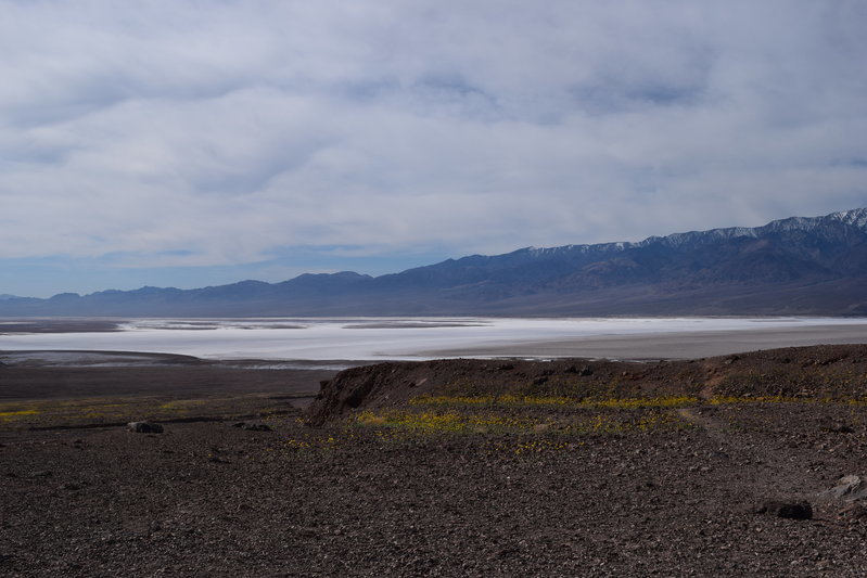 DSC_0287.jpg