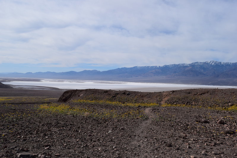 DSC_0288.jpg