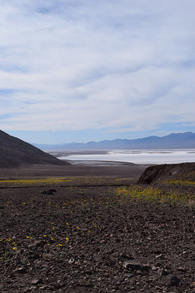 DSC_0289.jpg