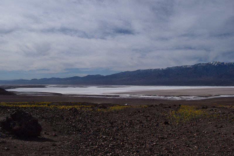 DSC_0290.jpg
