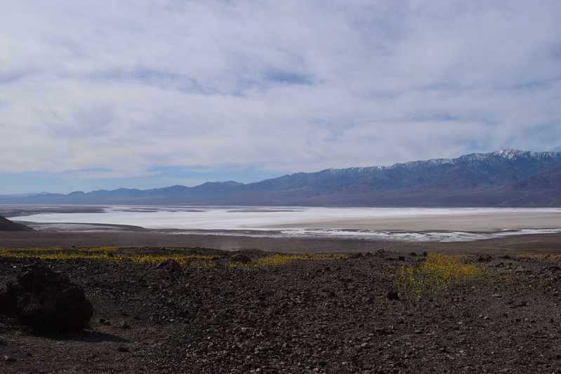 DSC_0291.jpg