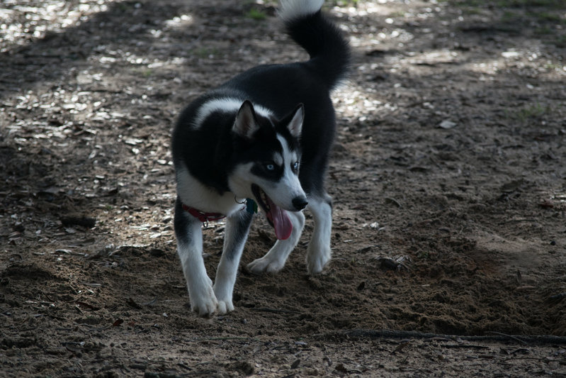 DSC_0295.jpg