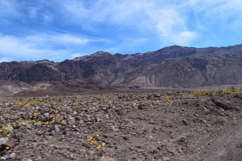 DSC_0296.jpg