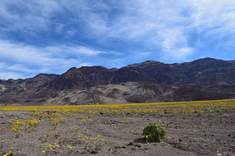 DSC_0297.jpg