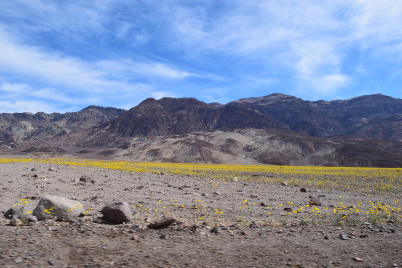 DSC_0298.jpg