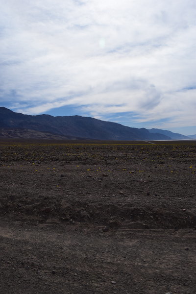 DSC_0299.jpg