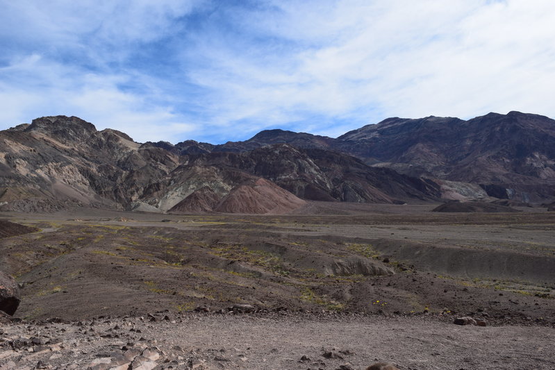 DSC_0301.jpg