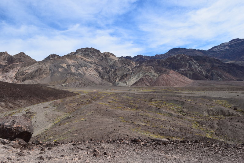 DSC_0302.jpg