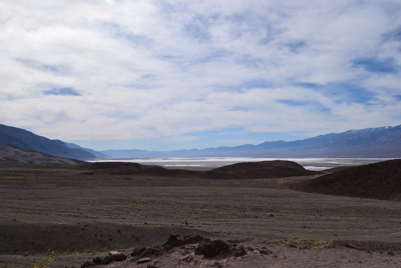 DSC_0303.jpg