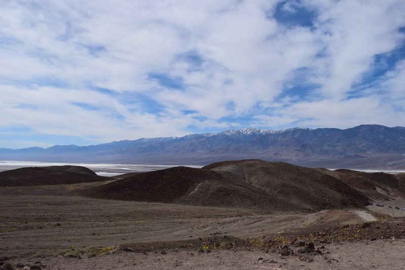 DSC_0304.jpg