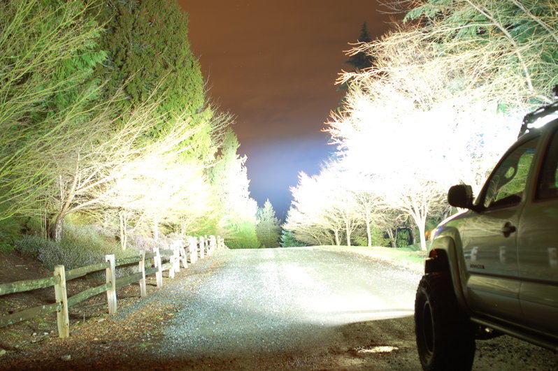 DSC_0304.jpg