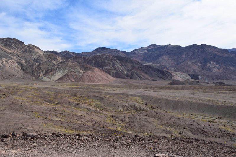 DSC_0305.jpg