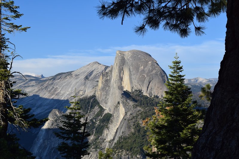 DSC_0305.jpg