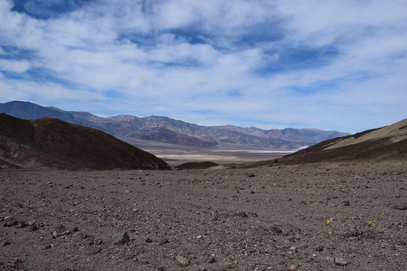 DSC_0306.jpg