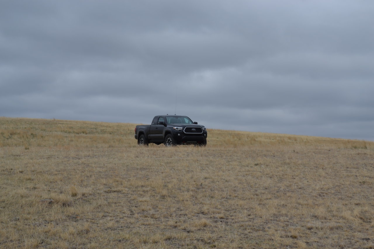 DSC_0306.jpg