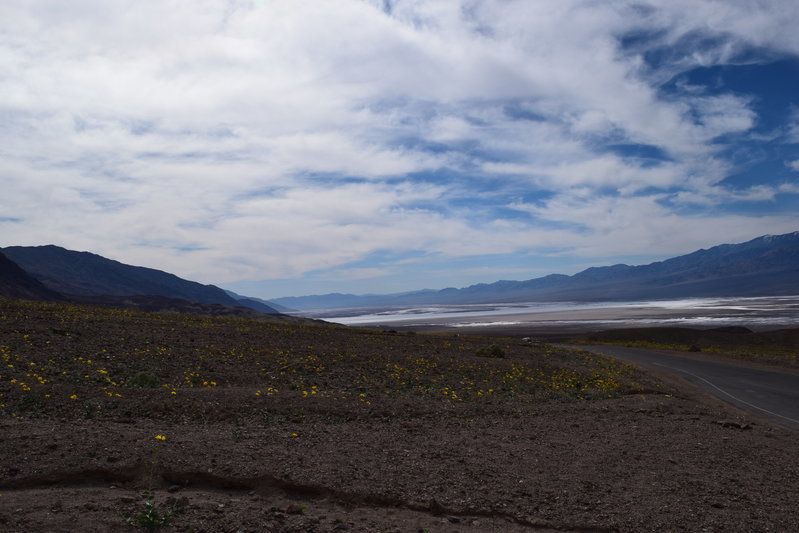 DSC_0309.jpg
