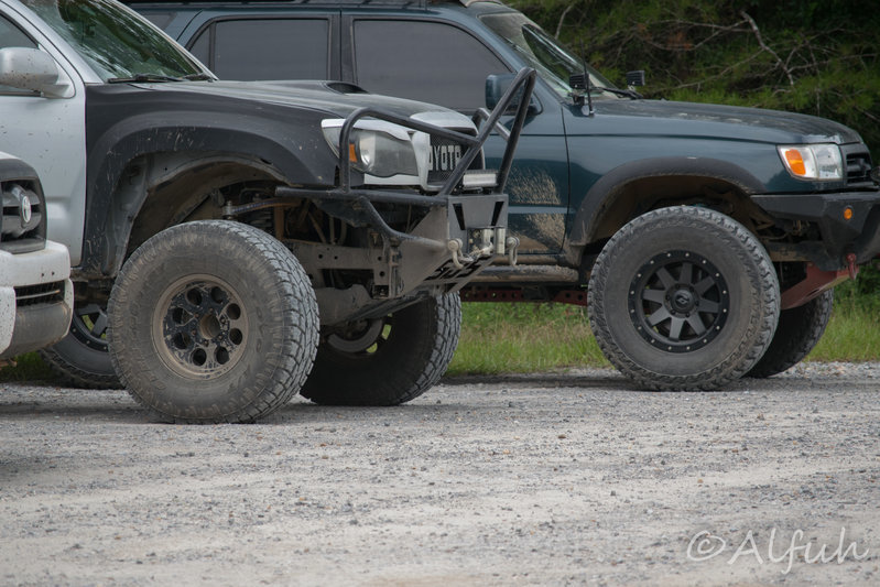 DSC_0309.jpg