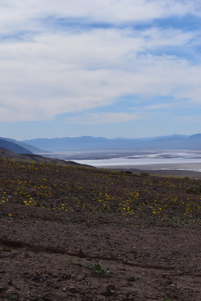 DSC_0312.jpg