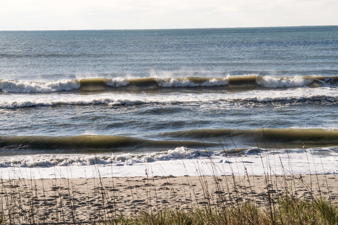 DSC_0313.jpg