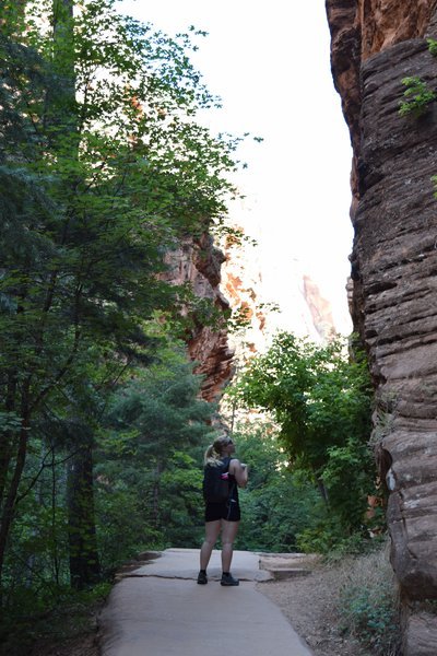 DSC_0314.jpg