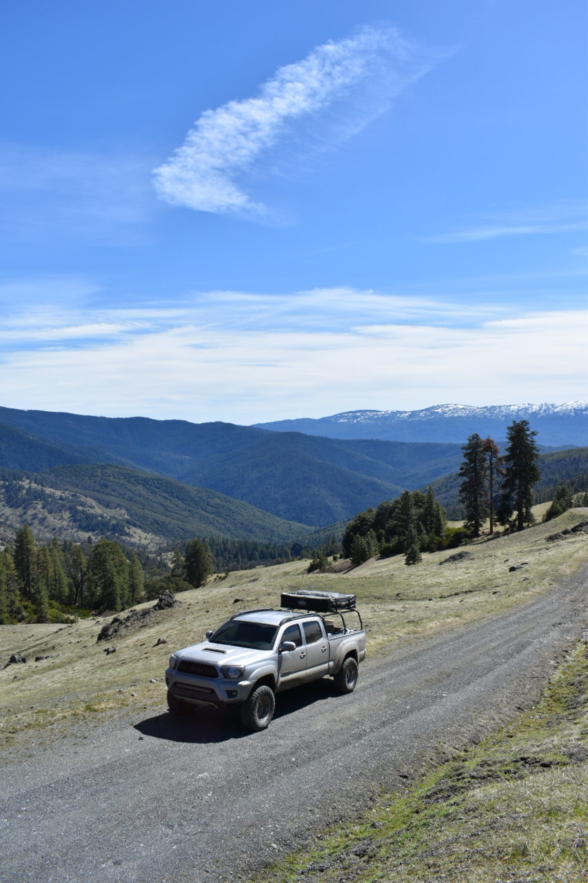 DSC_0317_1.jpg