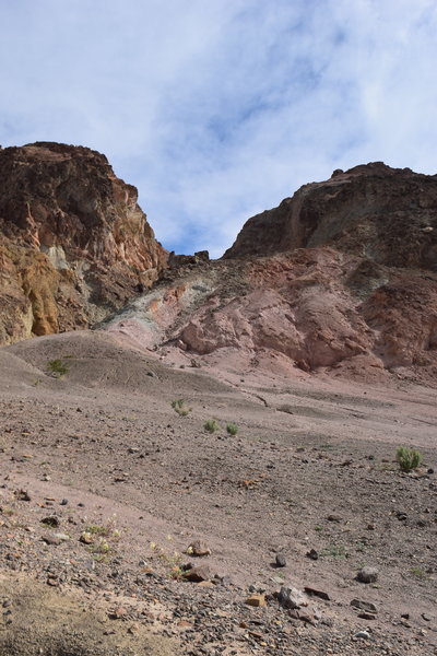 DSC_0322.jpg