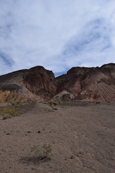 DSC_0324.jpg