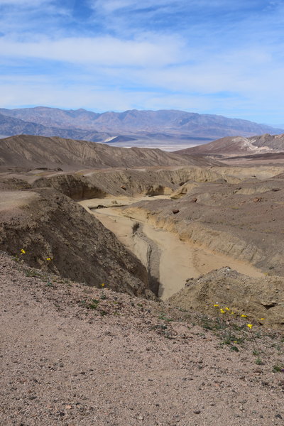 DSC_0326.jpg