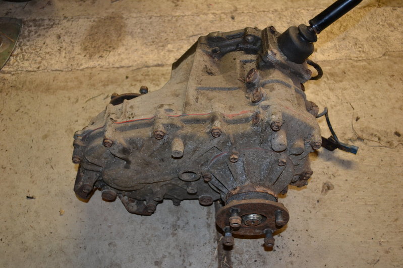 DSC_0336.jpg